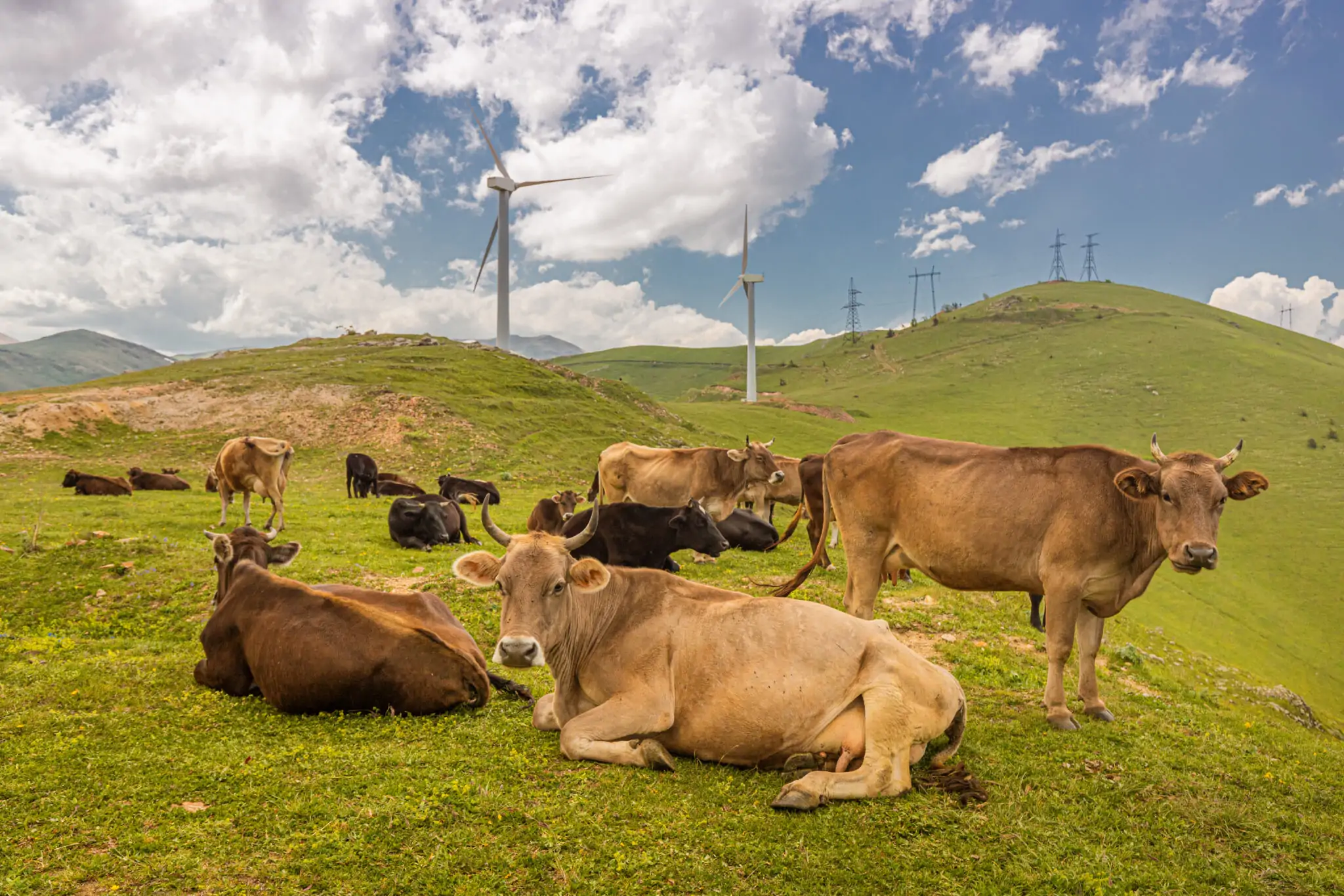 Methane rules: Parliament backs longer delay for energy importers and ...